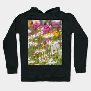 Wild Daisies Hoodie